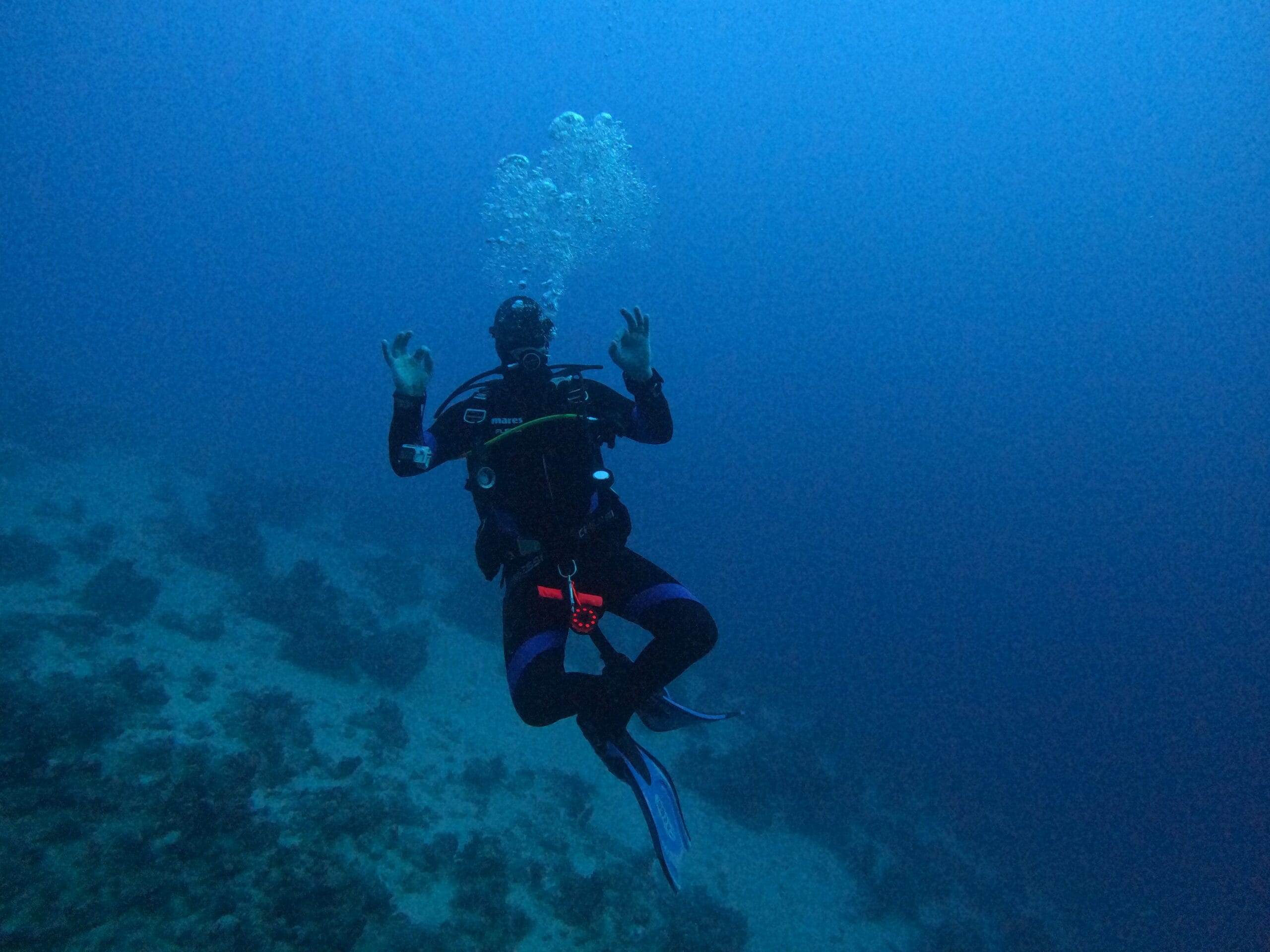 Activité club Safe & Dive 15