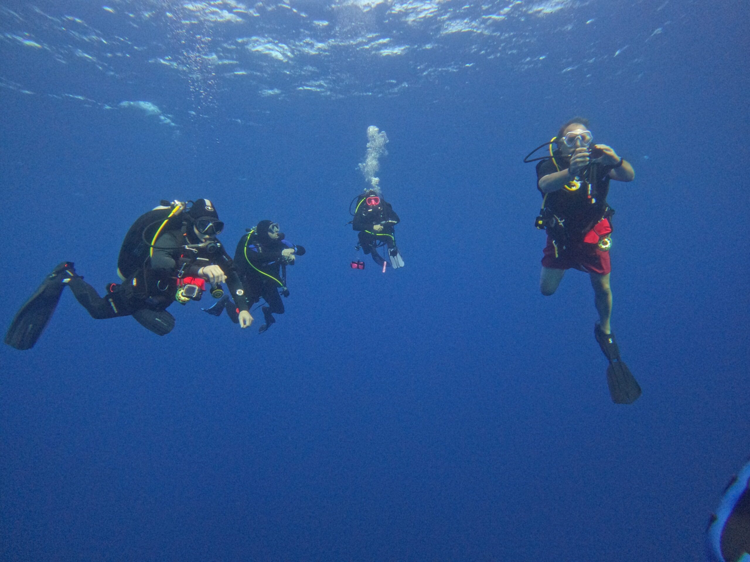 Activité club Safe & Dive 19