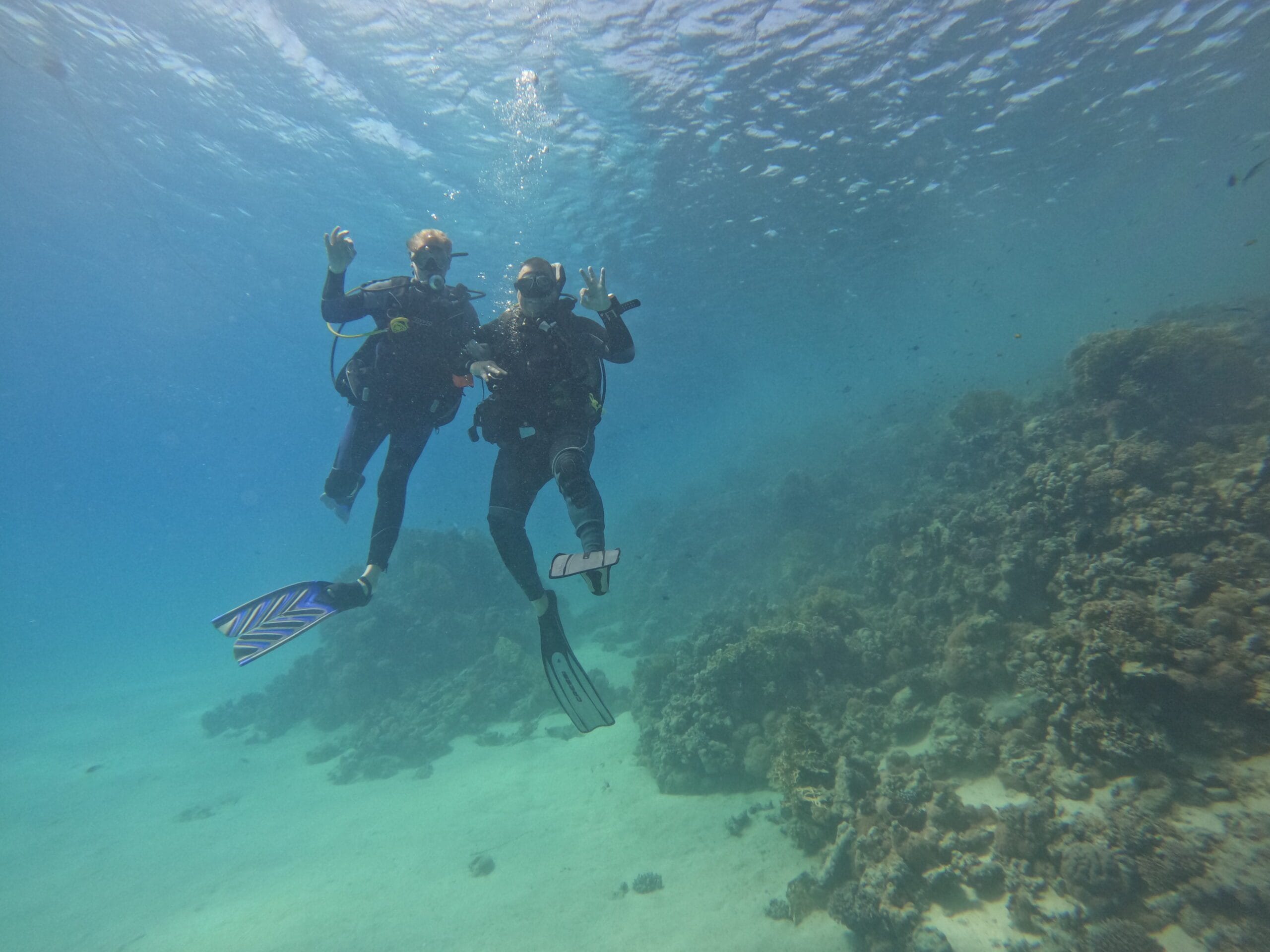 Activité club Safe & Dive 21