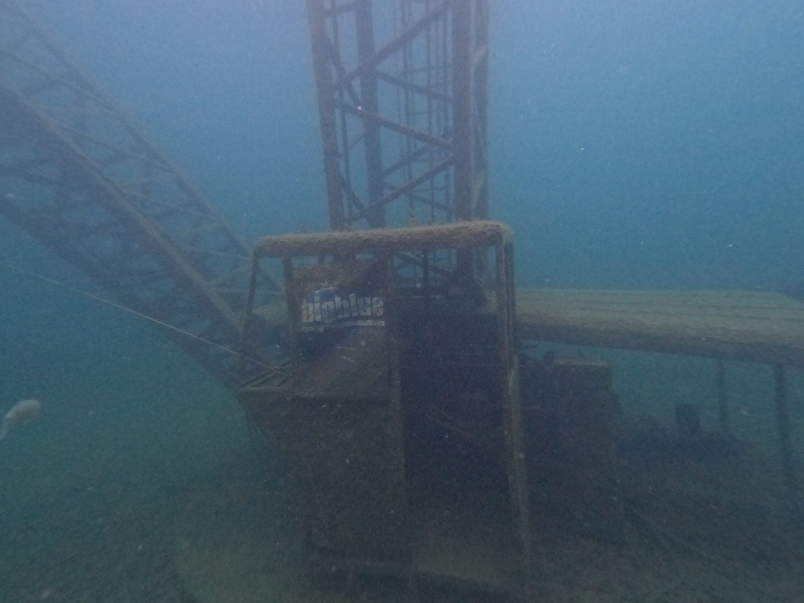 Activité club Safe & Dive 34