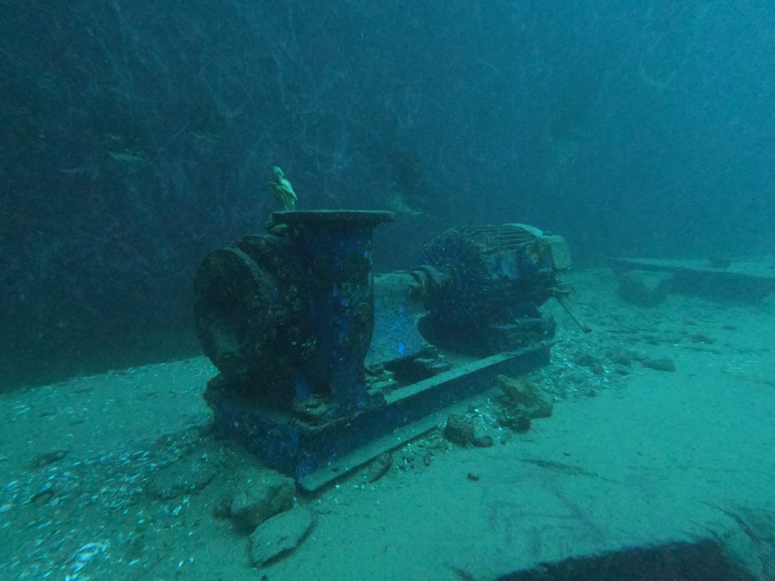 Activité club Safe & Dive 37