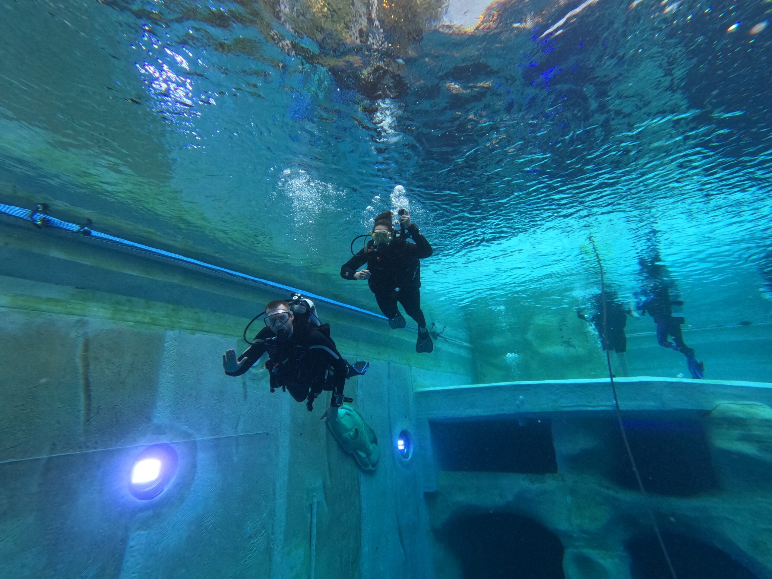 Activité club Safe & Dive 40
