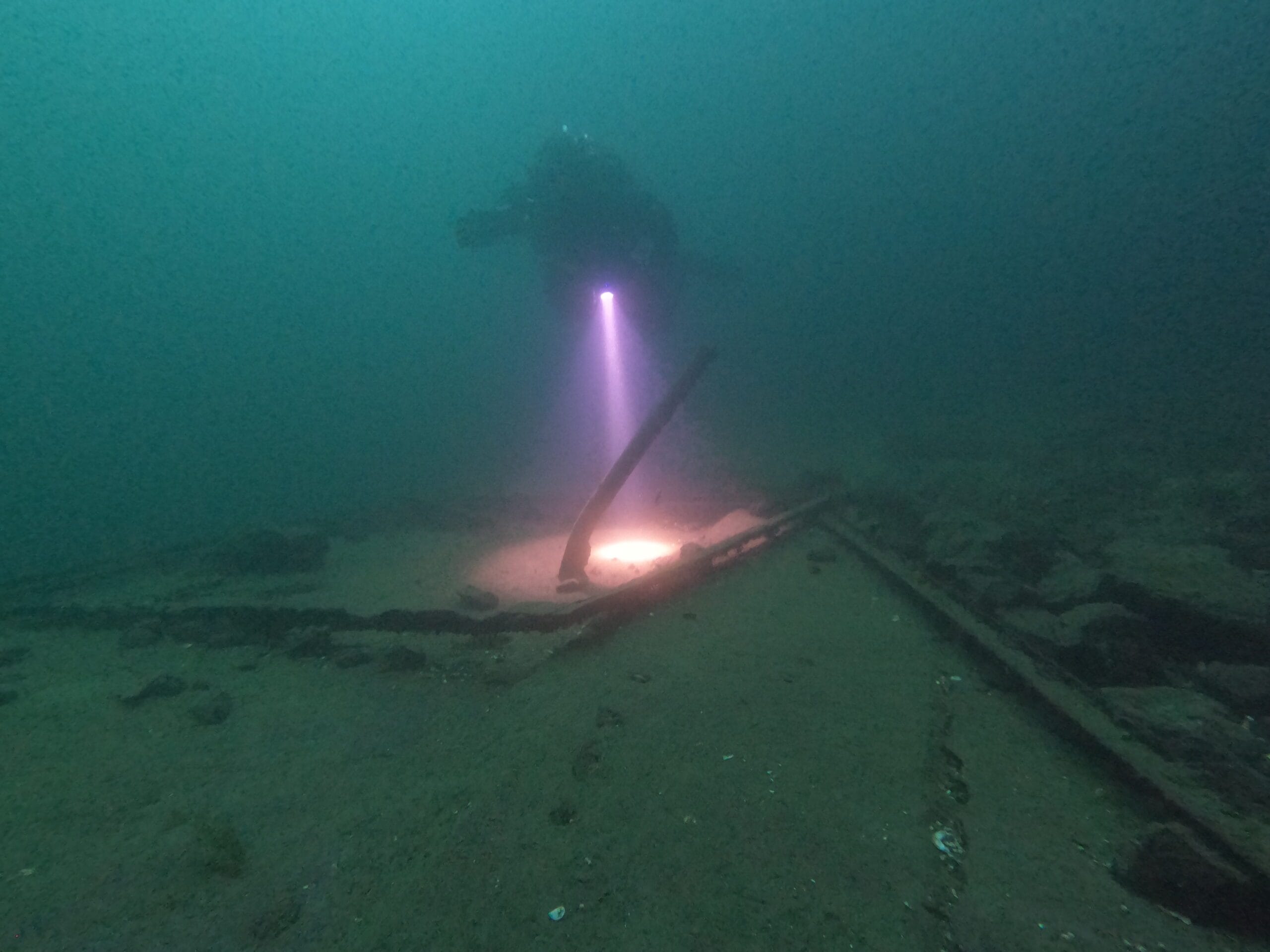 Activité club Safe & Dive 43