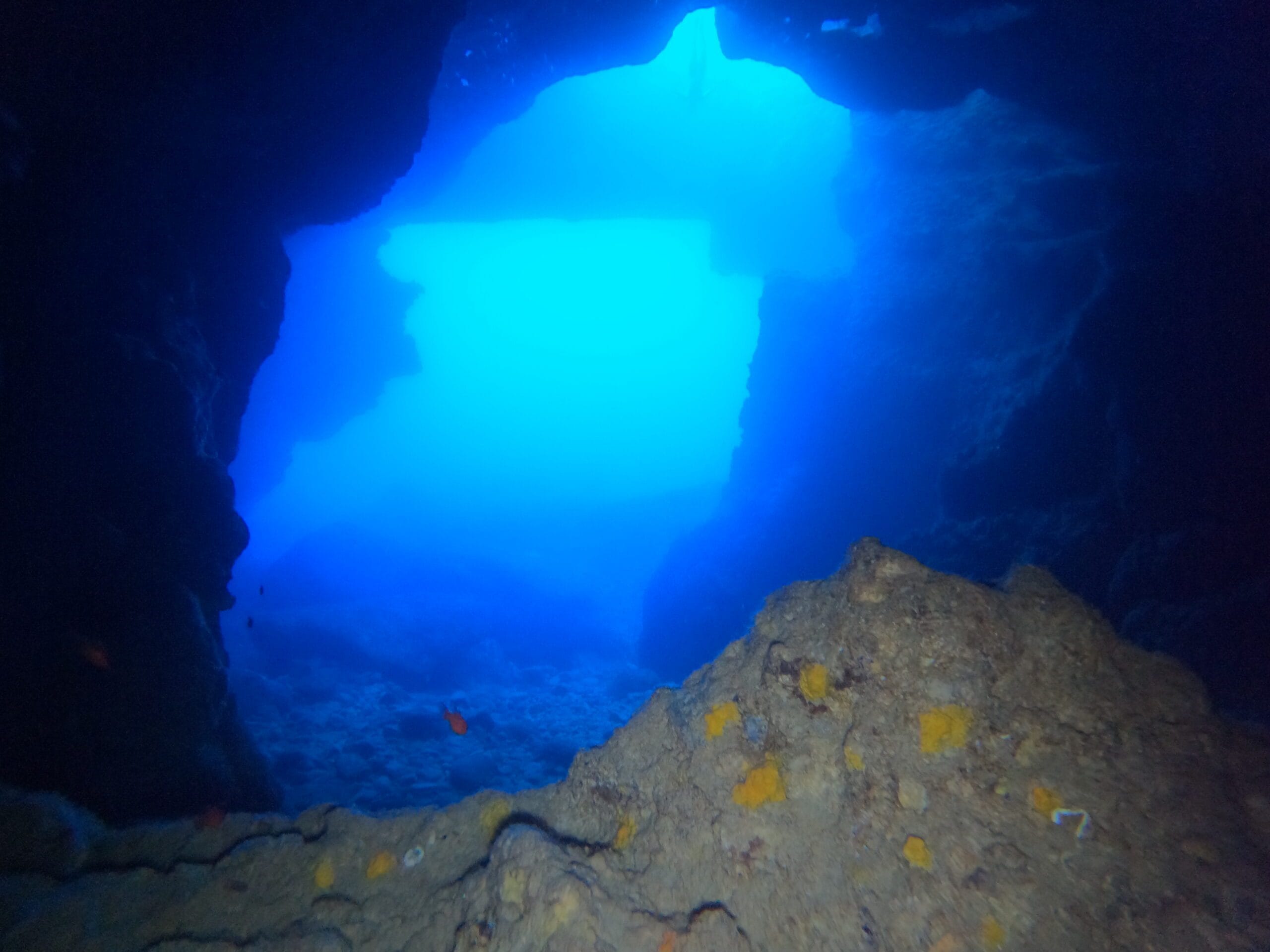 Activité club Safe & Dive 60