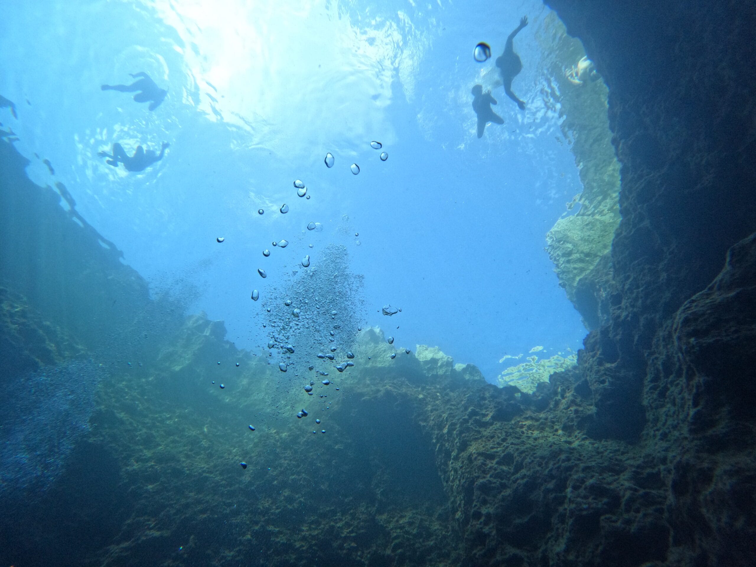 Activité club Safe & Dive 61