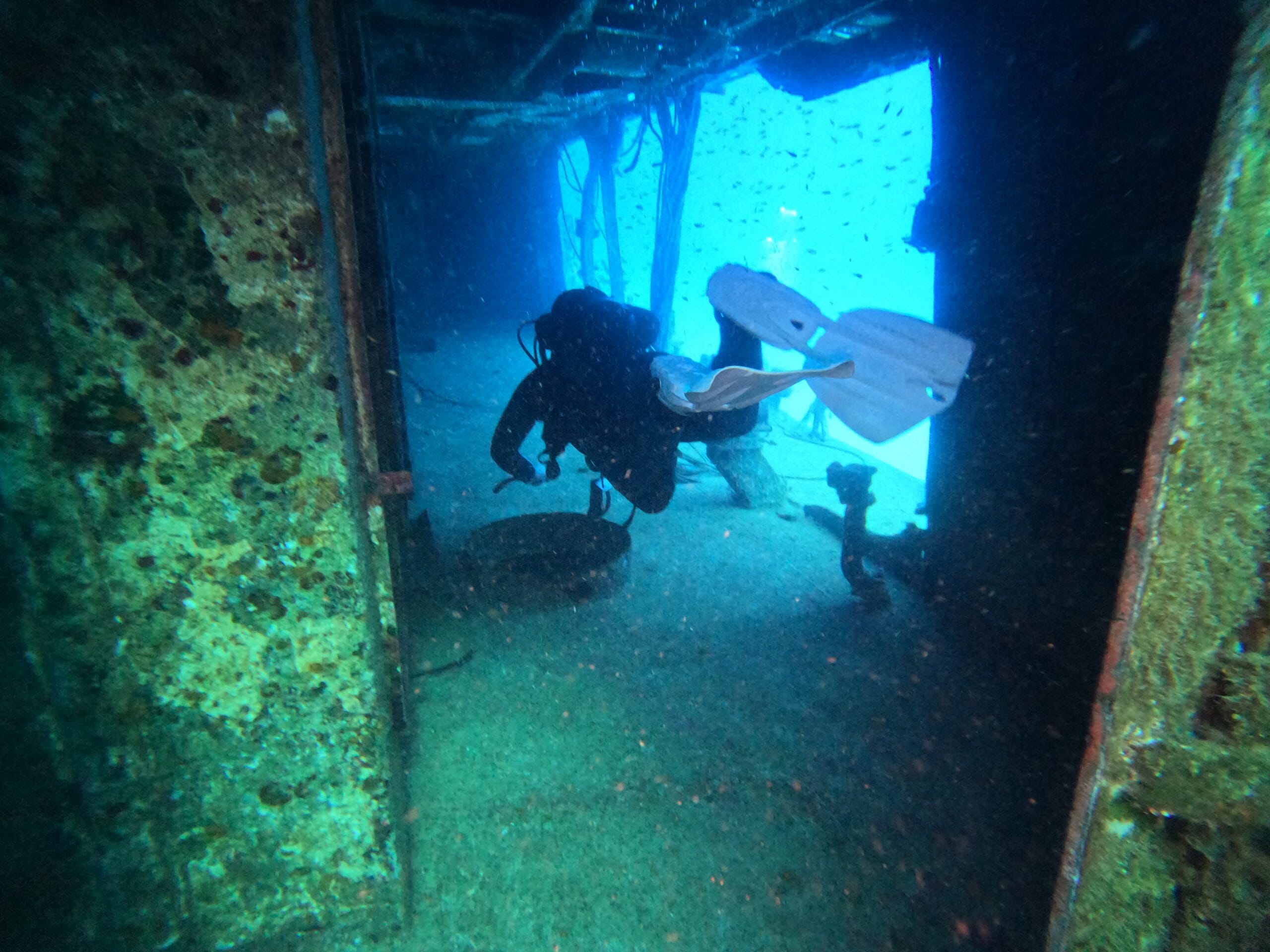 Activité club Safe & Dive 63