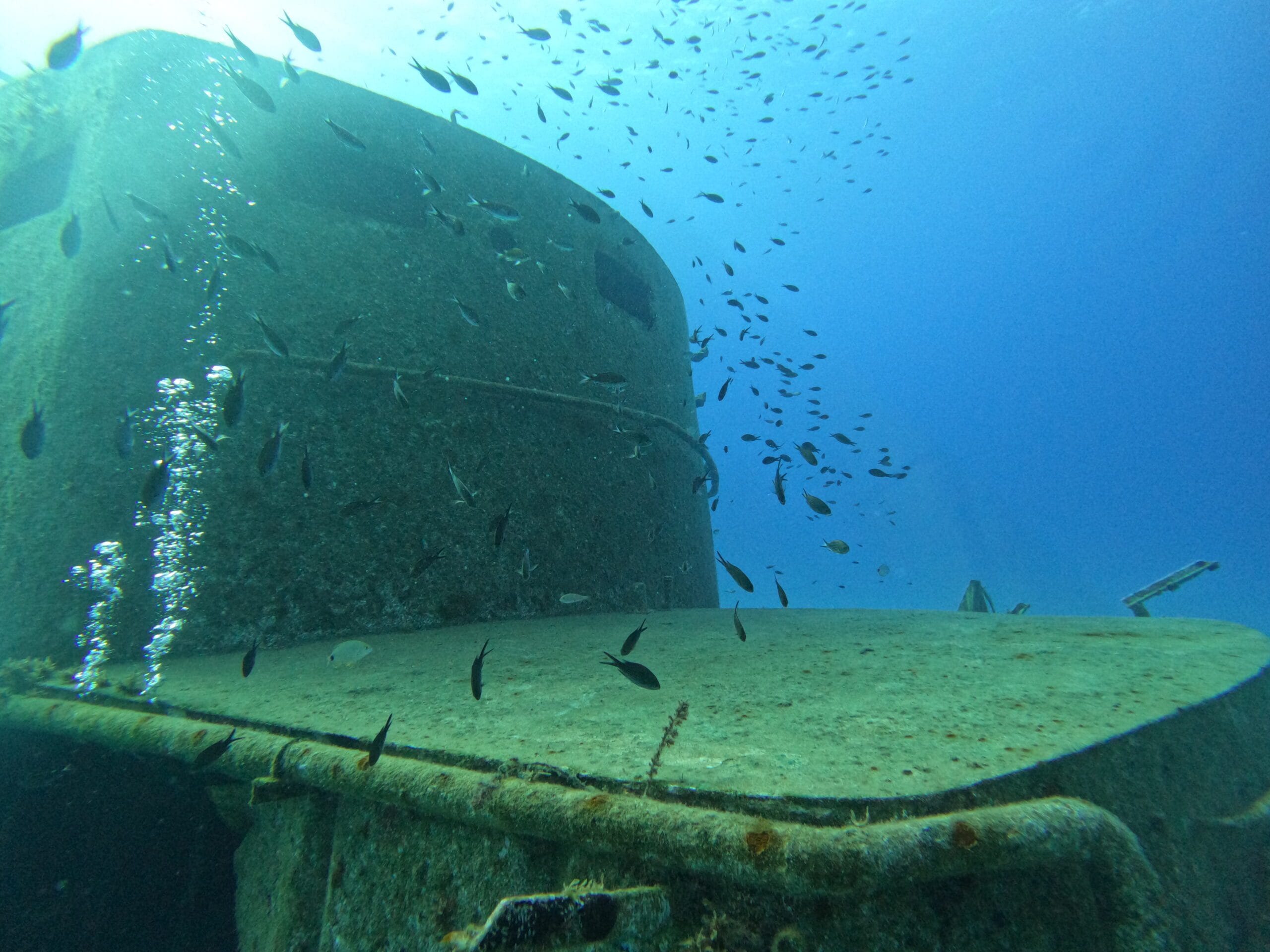Activité club Safe & Dive 64